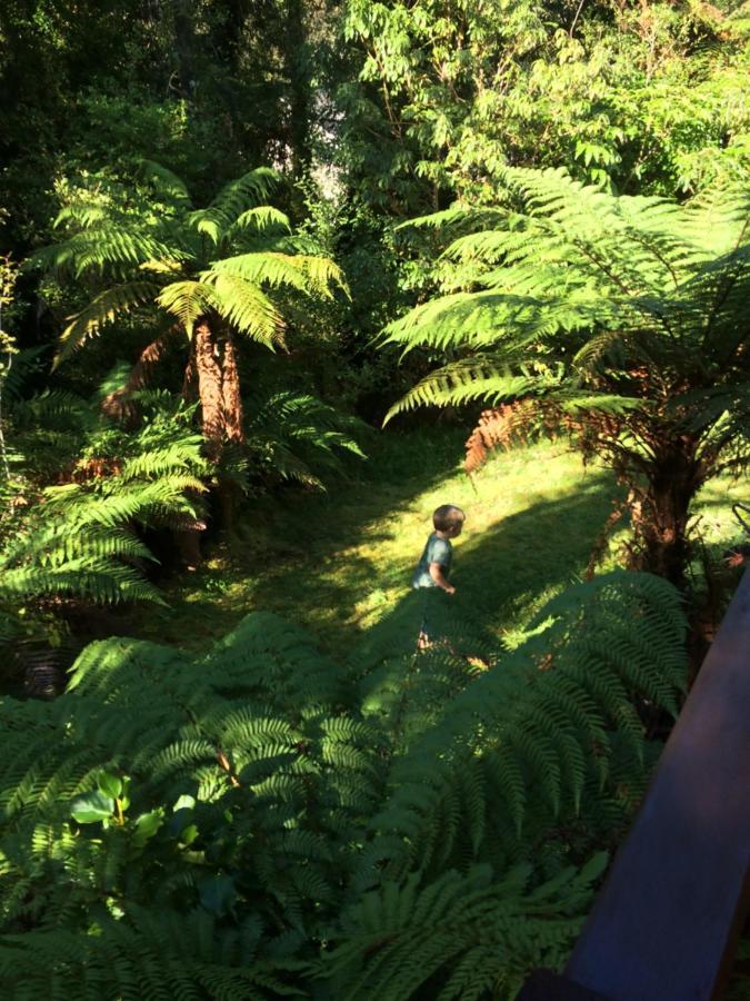 The Ferns Hideaway Βίλα Franz Josef Εξωτερικό φωτογραφία